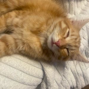 Meet your Posher, Landon